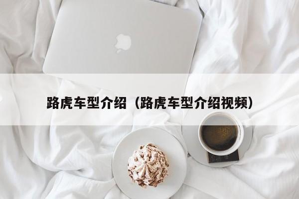 路虎车型介绍（路虎车型介绍视频）