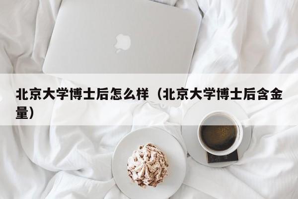 北京大学博士后怎么样（北京大学博士后含金量）