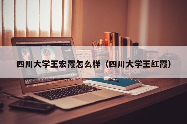 四川大学王宏霞怎么样（四川大学王红霞）