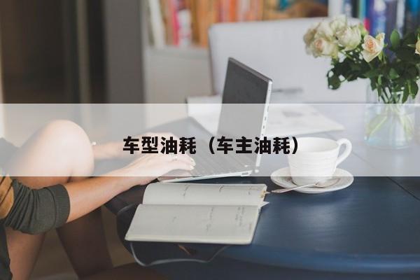 车型油耗（车主油耗）