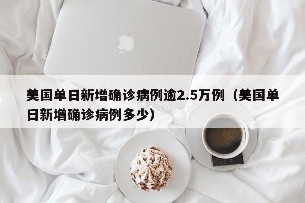 美国单日新增确诊病例逾2.5万例（美国单日新增确诊病例多少）