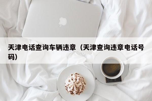 天津电话查询车辆违章（天津查询违章电话号码）