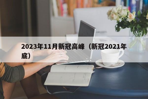 2023年11月新冠高峰（新冠2021年底）