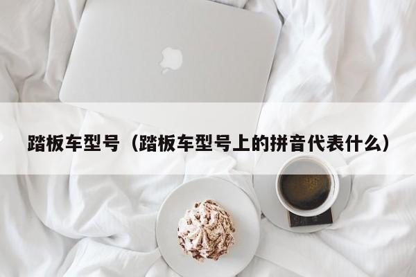 踏板车型号（踏板车型号上的拼音代表什么）