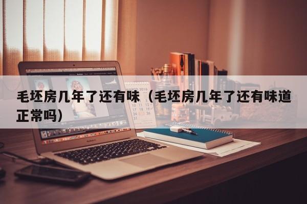 毛坯房几年了还有味（毛坯房几年了还有味道正常吗）