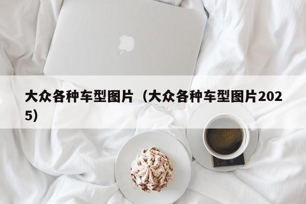 大众各种车型图片（大众各种车型图片2025）