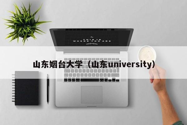 山东姻台大学（山东university）