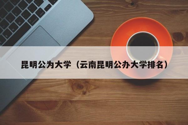 昆明公为大学（云南昆明公办大学排名）
