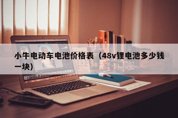 小牛电动车电池价格表（48v锂电池多少钱一块）