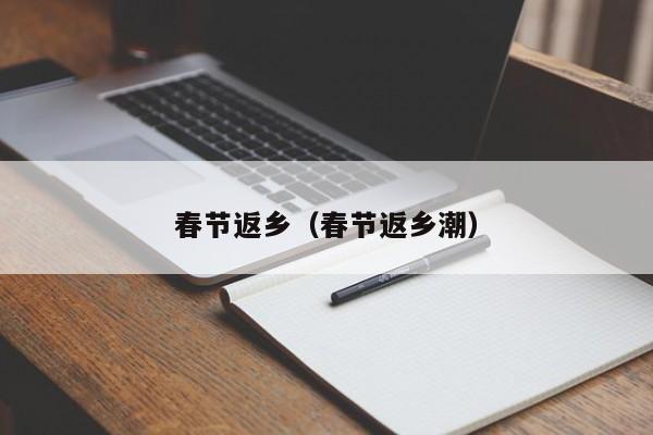 春节返乡（春节返乡潮）