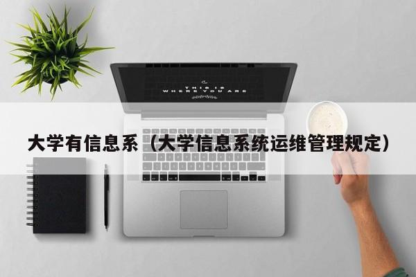 大学有信息系（大学信息系统运维管理规定）