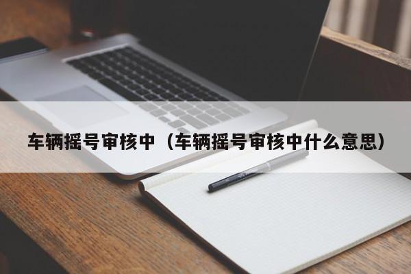 车辆摇号审核中（车辆摇号审核中什么意思）