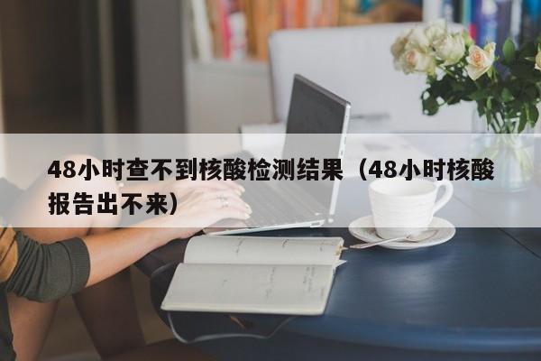 48小时查不到核酸检测结果（48小时核酸报告出不来）