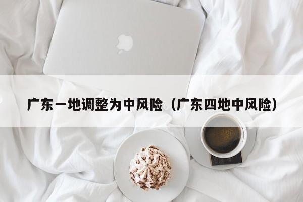 广东一地调整为中风险（广东四地中风险）