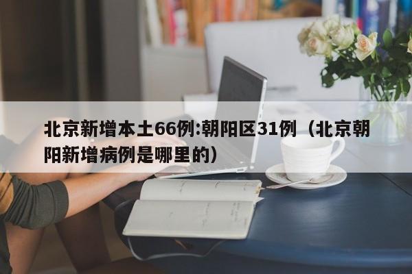 北京新增本土66例:朝阳区31例（北京朝阳新增病例是哪里的）
