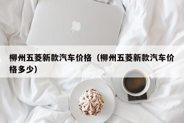 柳州五菱新款汽车价格（柳州五菱新款汽车价格多少）