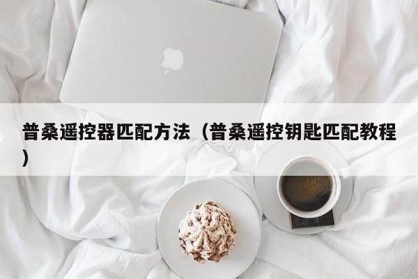 普桑遥控器匹配方法（普桑遥控钥匙匹配教程）