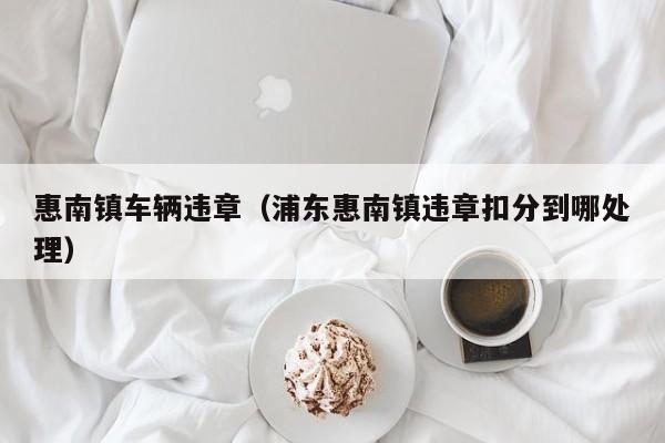 惠南镇车辆违章（浦东惠南镇违章扣分到哪处理）