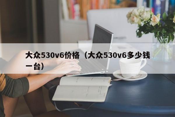 大众530v6价格（大众530v6多少钱一台）