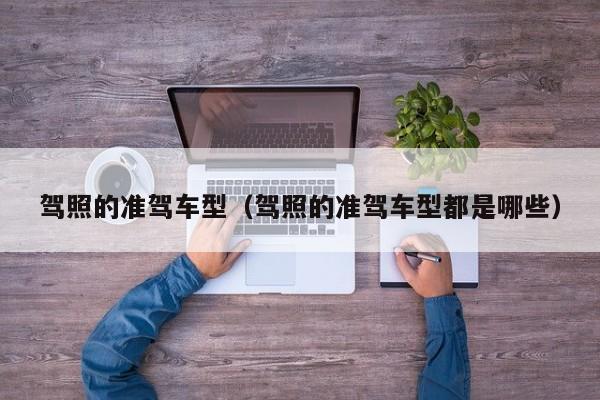 驾照的准驾车型（驾照的准驾车型都是哪些）