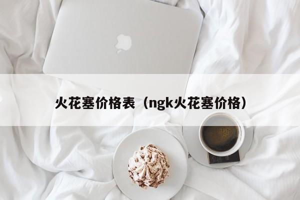 火花塞价格表（ngk火花塞价格）