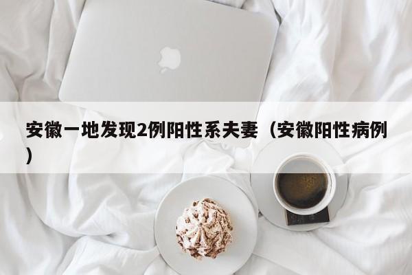 安徽一地发现2例阳性系夫妻（安徽阳性病例）