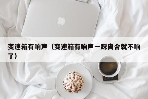 变速箱有响声（变速箱有响声一踩离合就不响了）